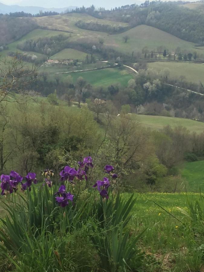 Green B&B Urbino Ca Del Vento Экстерьер фото