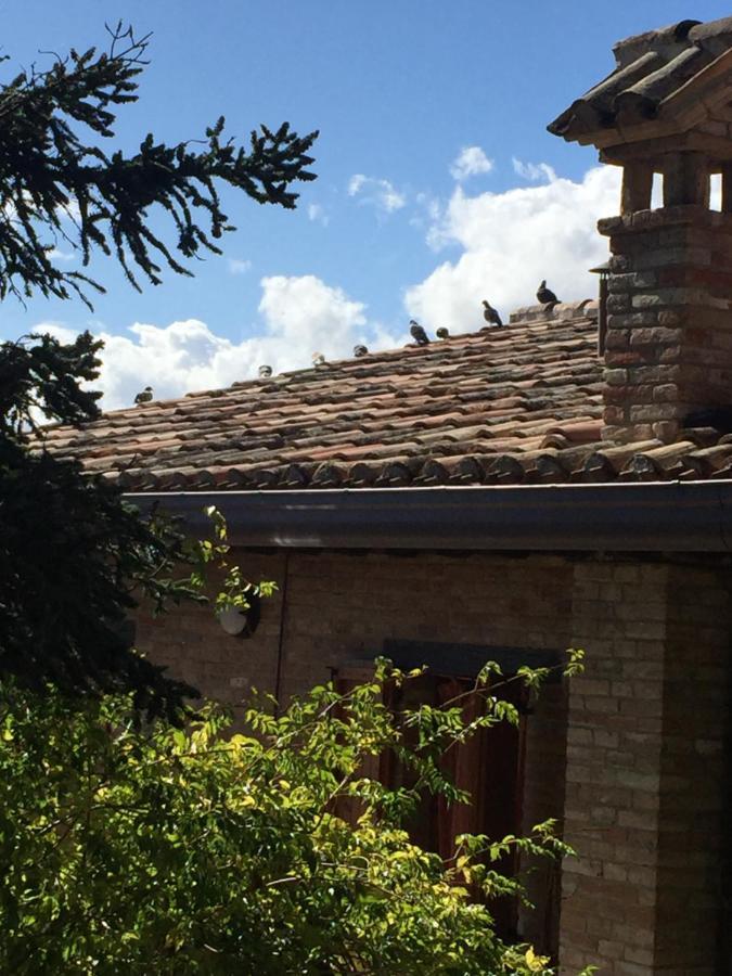Green B&B Urbino Ca Del Vento Экстерьер фото