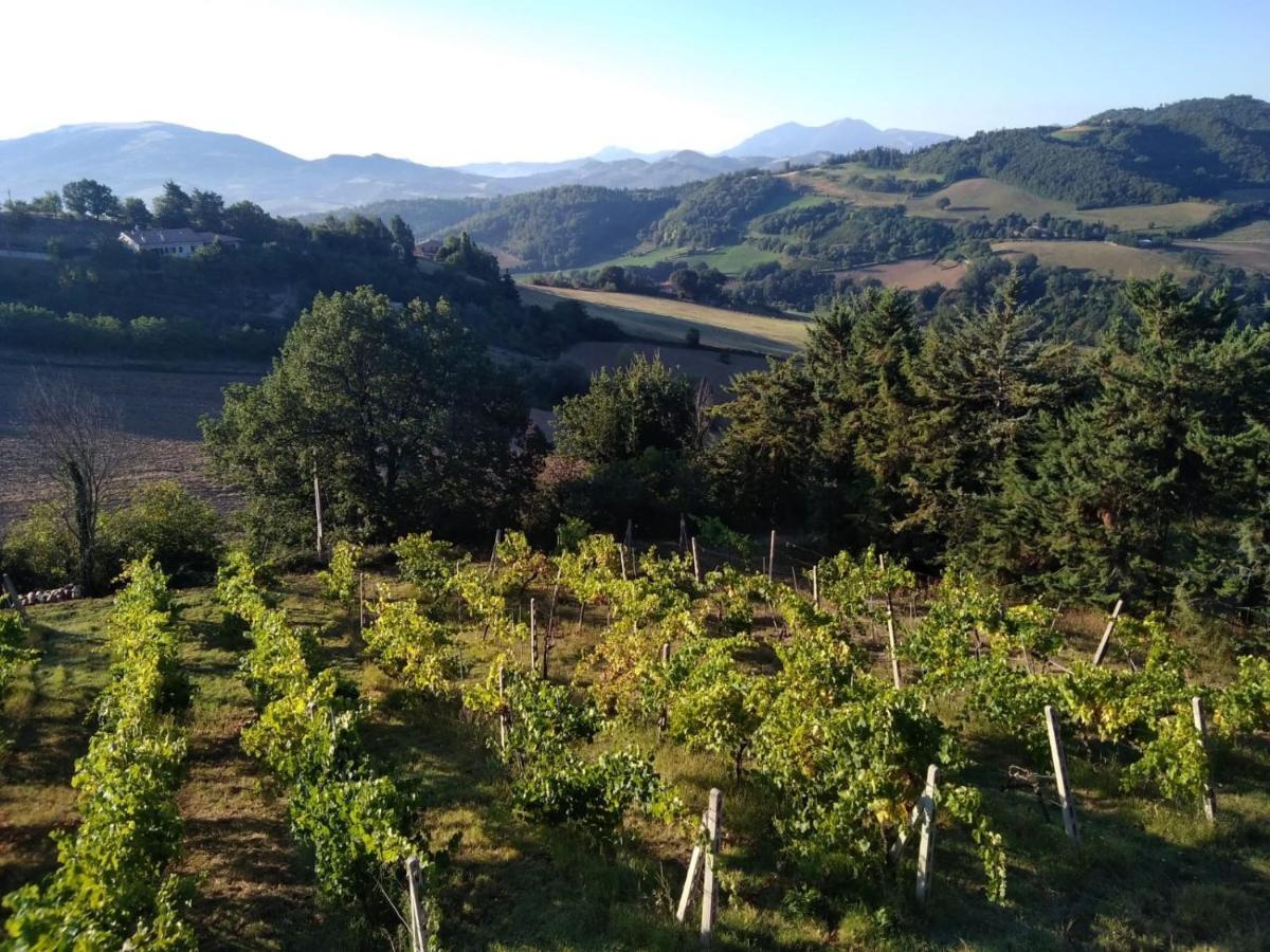Green B&B Urbino Ca Del Vento Экстерьер фото